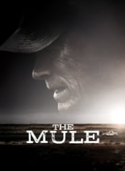 The Mule 